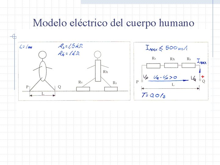 Modelo eléctrico del cuerpo humano 