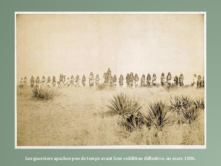 Les guerriers apaches peu de temps avant leur reddition définitive, en mars 1886. 