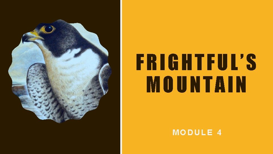 FRIGHTFUL’S MOUNTAIN MODULE 4 