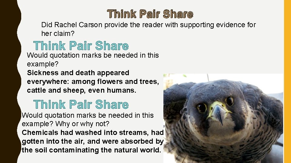 Think Pair Share Did Rachel Carson provide the reader with supporting evidence for her