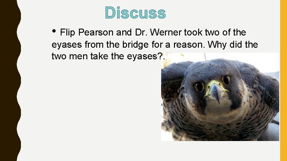  • Flip Pearson and Dr. Werner took two of the eyases from the