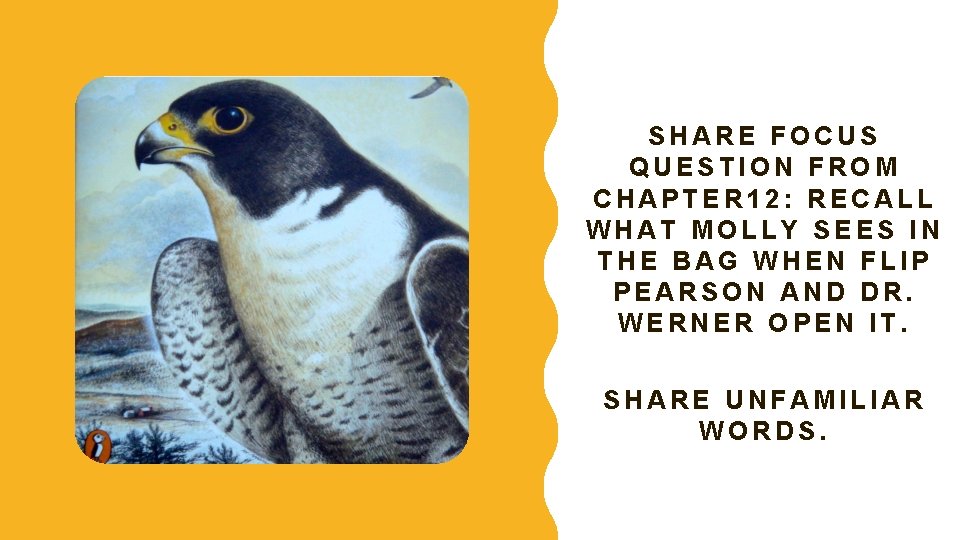 SHARE FOCUS QUESTION FROM CHAPTER 12: RECALL WHAT MOLLY SEES IN THE BAG WHEN