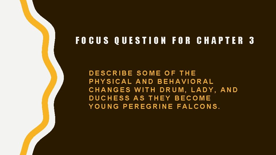 FOCUS QUESTION FOR CHAPTER 3 DESCRIBE SOME OF THE PHYSICAL AND BEHAVIORAL CHANGES WITH