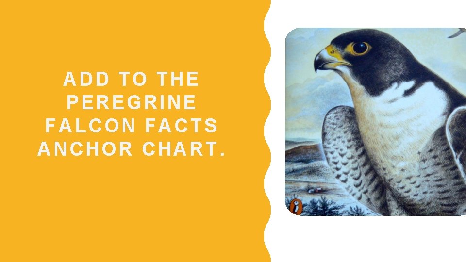 ADD T O THE PE REGRINE FAL CON F ACTS ANCHOR C HART. 