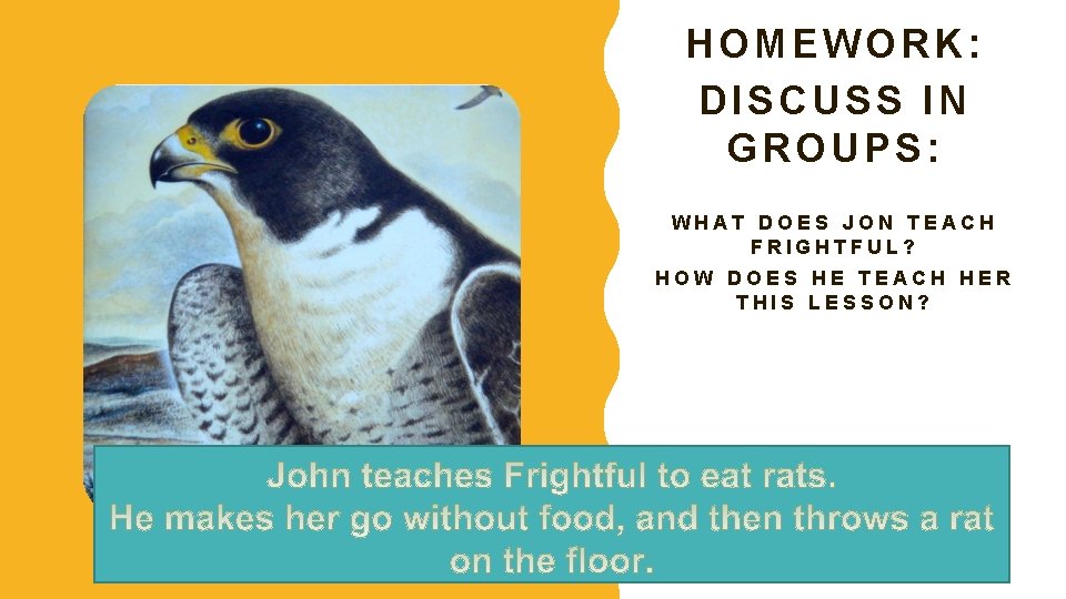 HOMEWORK: DISCUSS IN GROUPS: WHAT DOES JON TEACH FRIGHTFUL? HOW DOES HE TEACH HER