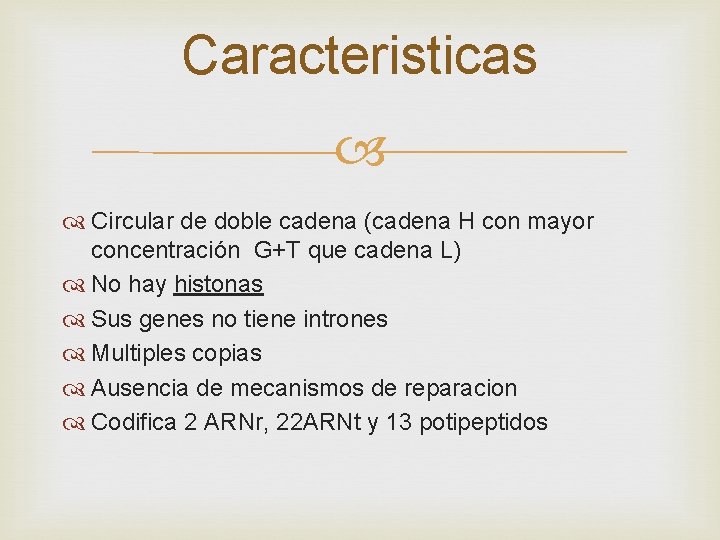 Caracteristicas Circular de doble cadena (cadena H con mayor concentración G+T que cadena L)