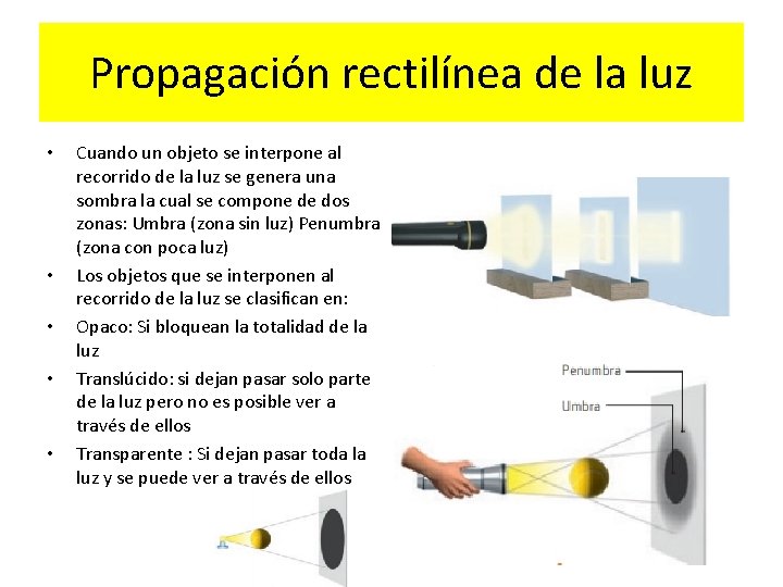 Propagación rectilínea de la luz • • • Cuando un objeto se interpone al