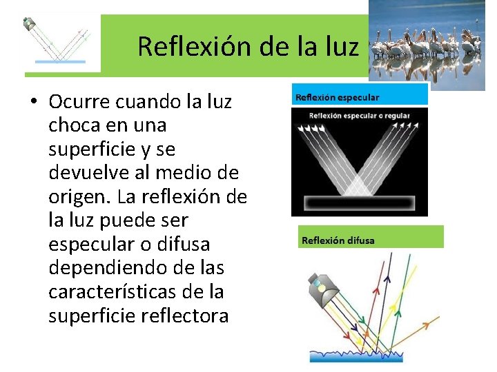 Reflexión de la luz • Ocurre cuando la luz choca en una superficie y