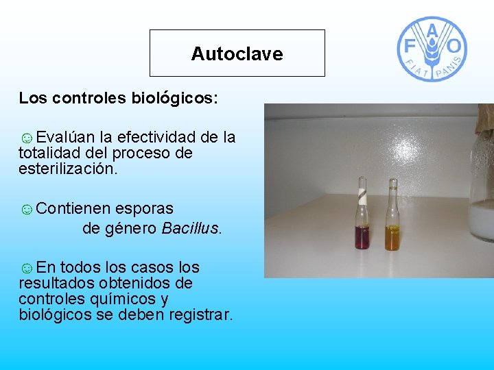 Autoclave Los controles biológicos: ☺Evalúan la efectividad de la totalidad del proceso de esterilización.