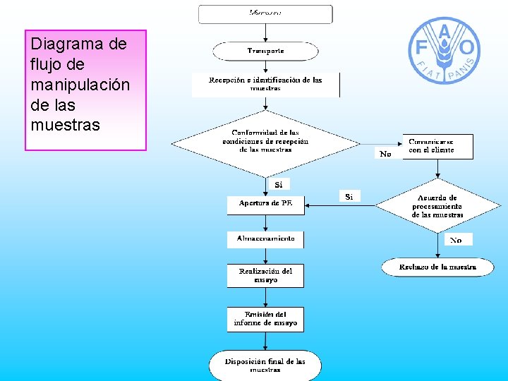 Diagrama de flujo de manipulación de las muestras 