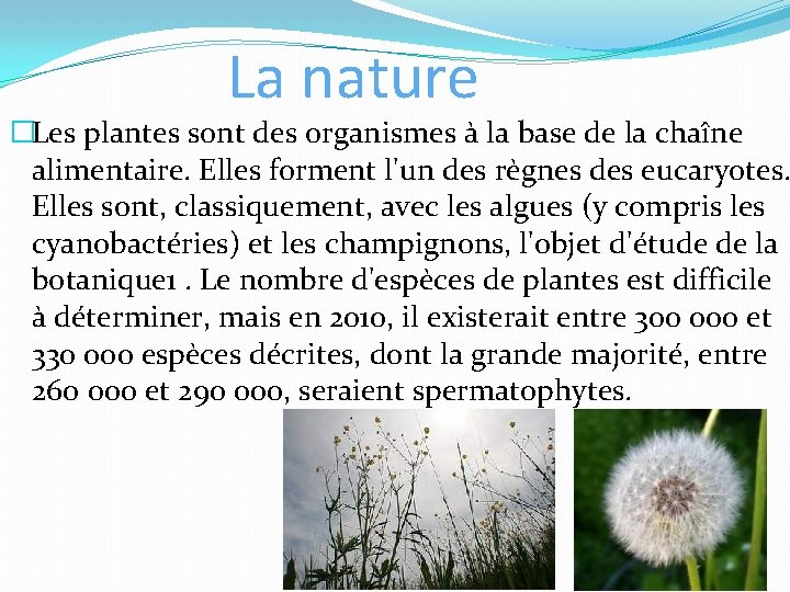 La nature �Les plantes sont des organismes à la base de la chaîne alimentaire.