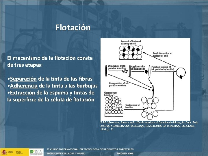 Flotación El mecanismo de la flotación consta de tres etapas: • Separación de la