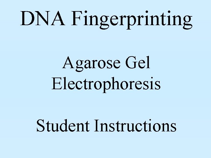 DNA Fingerprinting Agarose Gel Electrophoresis Student Instructions 
