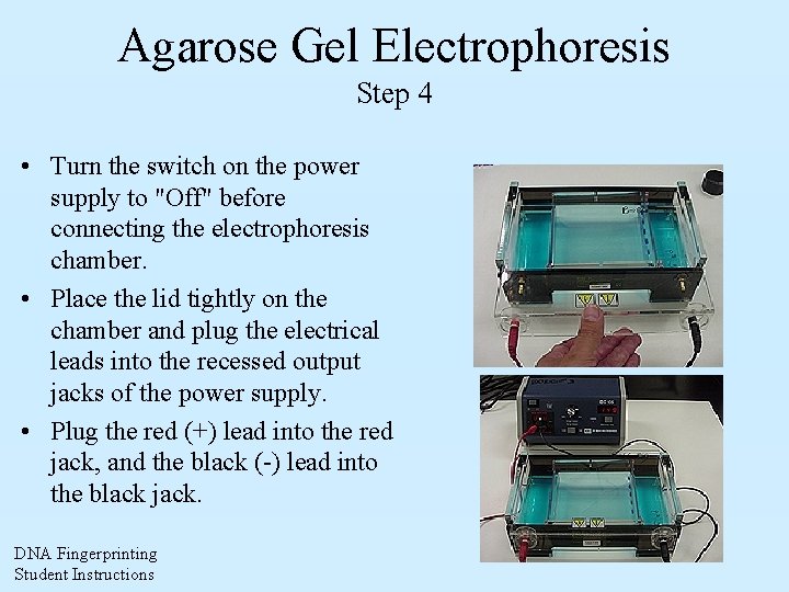 Agarose Gel Electrophoresis Step 4 • Turn the switch on the power supply to