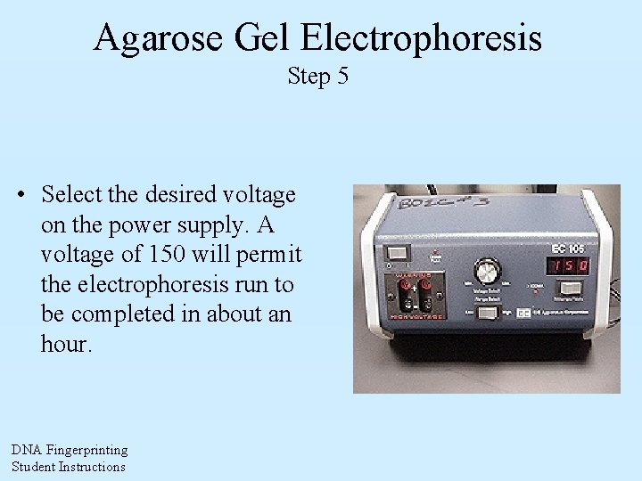 Agarose Gel Electrophoresis Step 5 • Select the desired voltage on the power supply.