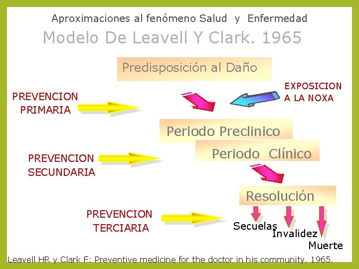 Aproximaciones al fenómeno Salud y Enfermedad Modelo De Leavell Y Clark. 1965 Predisposición al