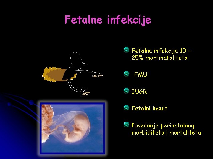 Fetalne infekcije Fetalna infekcija 10 – 25% mortinataliteta FMU IUGR Fetalni insult Povećanje perinatalnog