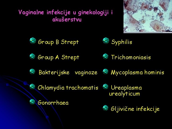 Vaginalne infekcije u ginekologiji i akušerstvu Group B Strept Syphilis Group A Strept Trichomoniasis