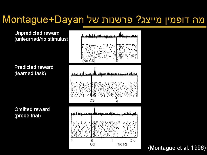 Montague+Dayan מה דופמין מייצג? פרשנות של Unpredicted reward (unlearned/no stimulus) Predicted reward (learned task)