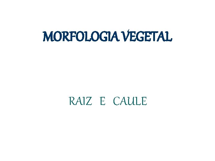 MORFOLOGIA VEGETAL RAIZ E CAULE 