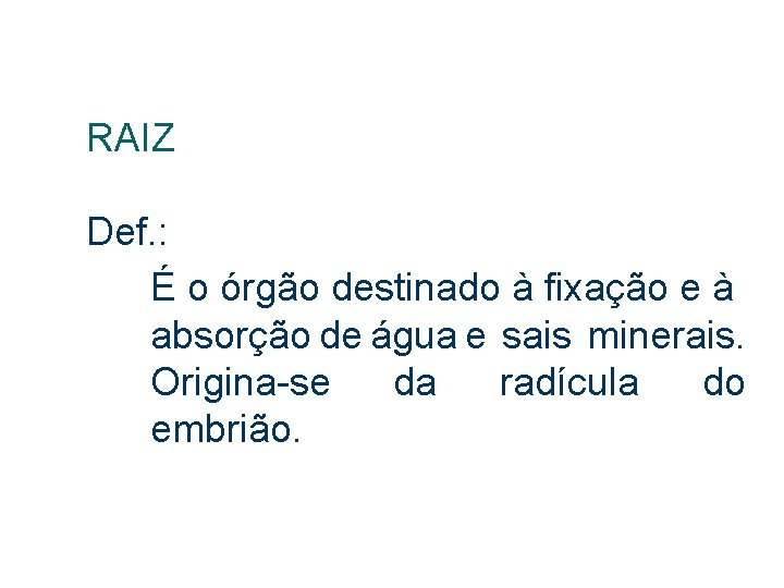 RAIZ Def. : É o órgão destinado à fixação e à absorção de água