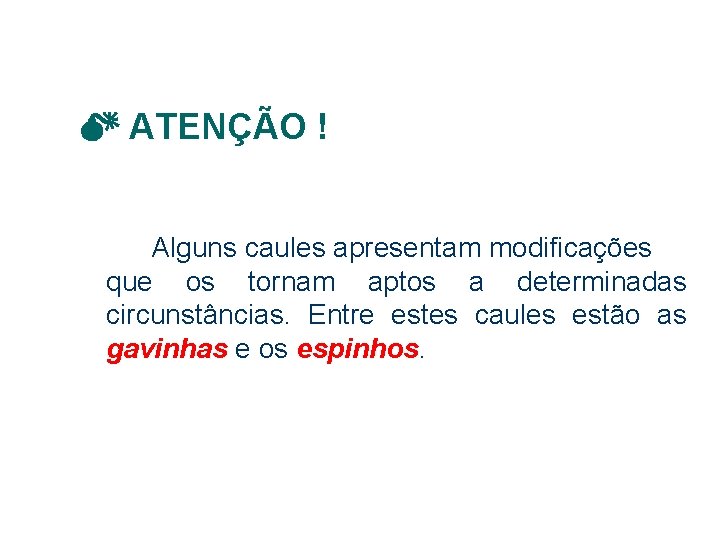  ATENÇÃO ! Alguns caules apresentam modificações que os tornam aptos a determinadas circunstâncias.