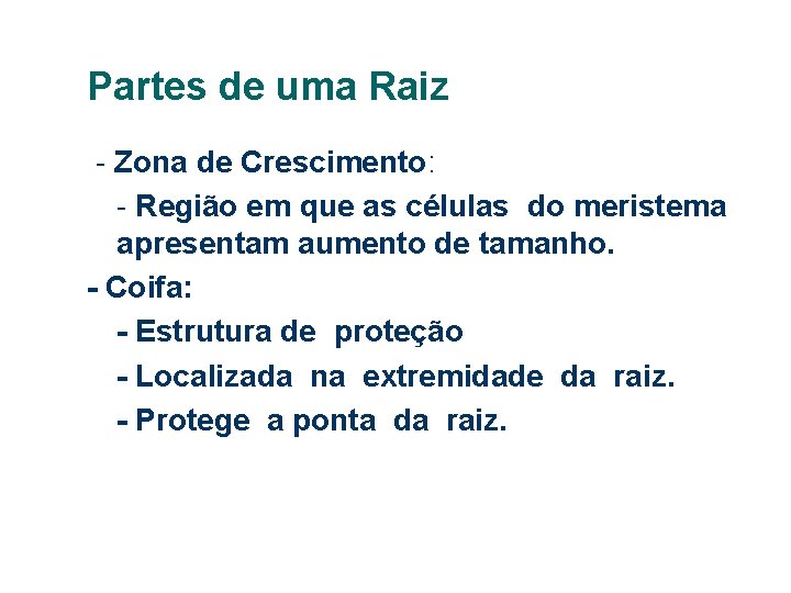 Partes de uma Raiz - Zona de Crescimento: - Região em que as células