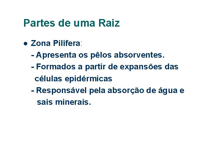 Partes de uma Raiz Zona Pilífera: - Apresenta os pêlos absorventes. - Formados a