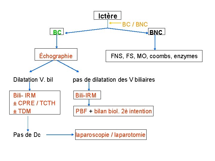 Ictère BC / BNC BC BNC Échographie Dilatation V. bil FNS, FS, MO, coombs,