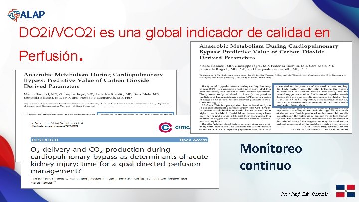 DO 2 i/VCO 2 i es una global indicador de calidad en Perfusión. Monitoreo