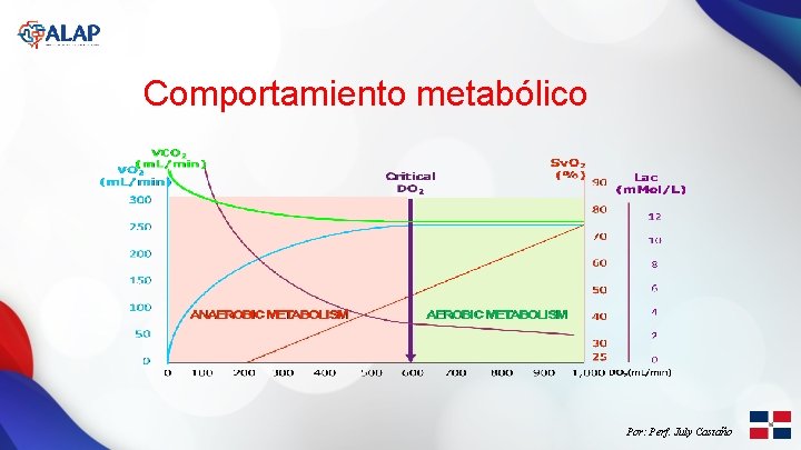 Comportamiento metabólico Por: Perf. July Castaño 