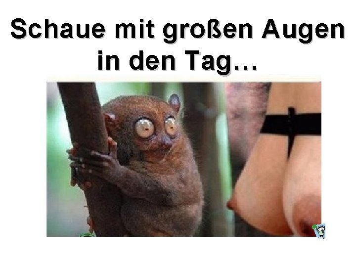 Schaue mit großen Augen in den Tag… 