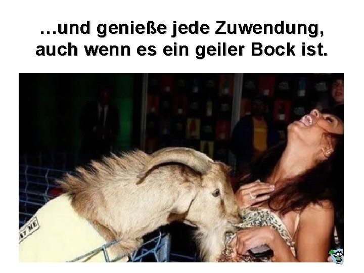 …und genieße jede Zuwendung, auch wenn es ein geiler Bock ist. 