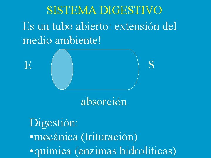 SISTEMA DIGESTIVO Es un tubo abierto: extensión del medio ambiente! S E absorción Digestión: