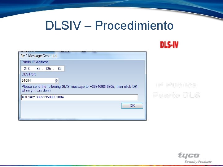 DLSIV – Procedimiento IP Publica Puerto DLS 