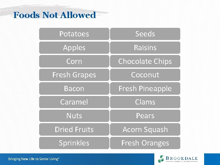 Foods Not Allowed Potatoes Seeds Apples Raisins Corn Chocolate Chips Fresh Grapes Coconut Bacon Foods Not Allowed Potatoes Seeds Apples Raisins Corn Chocolate Chips Fresh Grapes Coconut Bacon