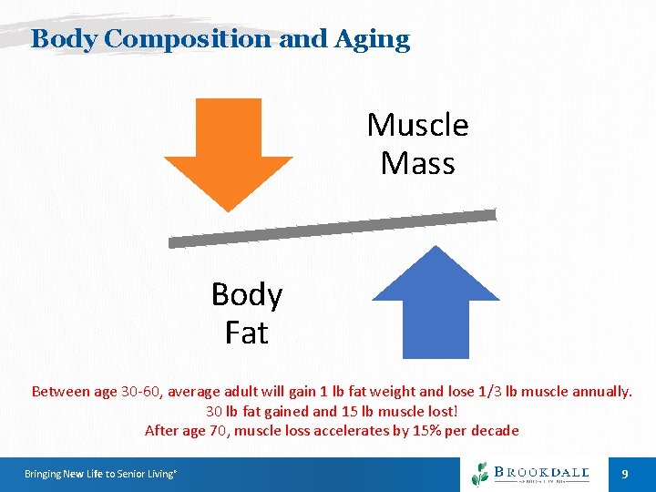 Body Composition and Aging Muscle Mass Body Fat Between age 30 -60, average adult Body Composition and Aging Muscle Mass Body Fat Between age 30 -60, average adult