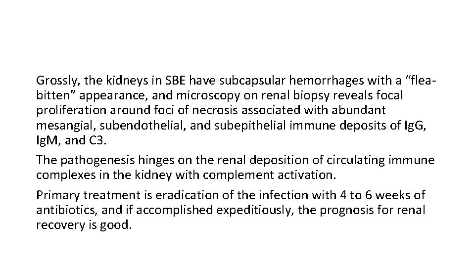 Grossly, the kidneys in SBE have subcapsular hemorrhages with a “fleabitten” appearance, and microscopy