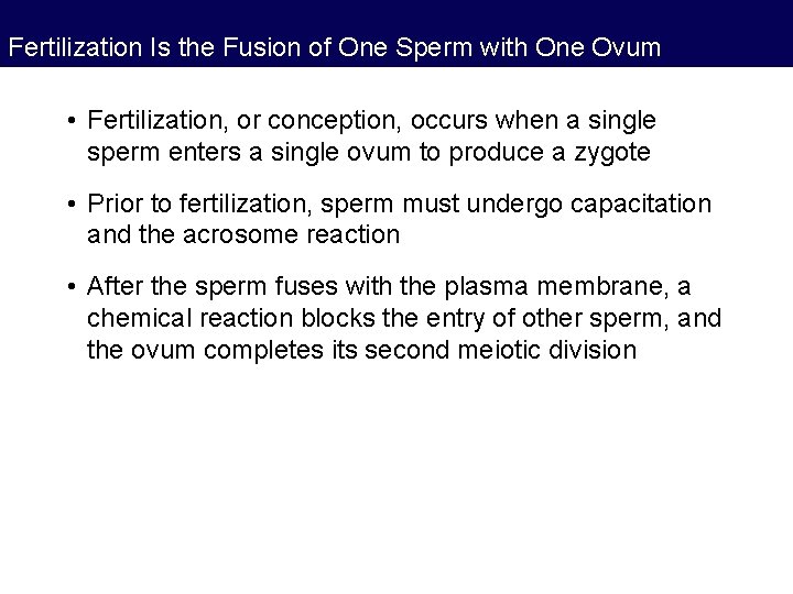 Fertilization Is the Fusion of One Sperm with One Ovum • Fertilization, or conception,