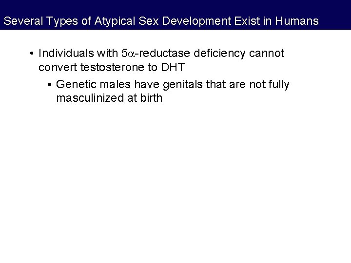 Several Types of Atypical Sex Development Exist in Humans • Individuals with 5 -reductase