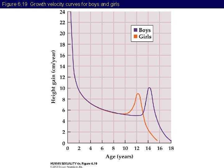 Figure 6. 19 Growth velocity curves for boys and girls 