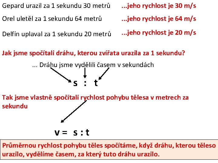 Gepard urazil za 1 sekundu 30 metrů . . . jeho rychlost je 30