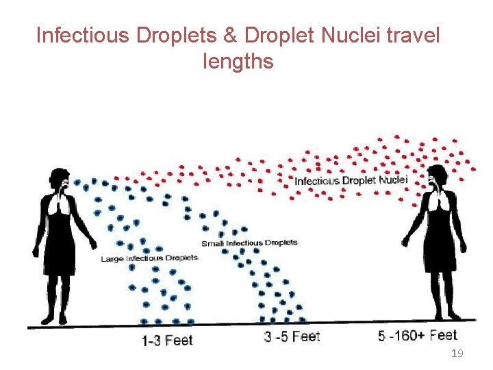Infectious Droplets & Droplet Nuclei travel lengths 19 
