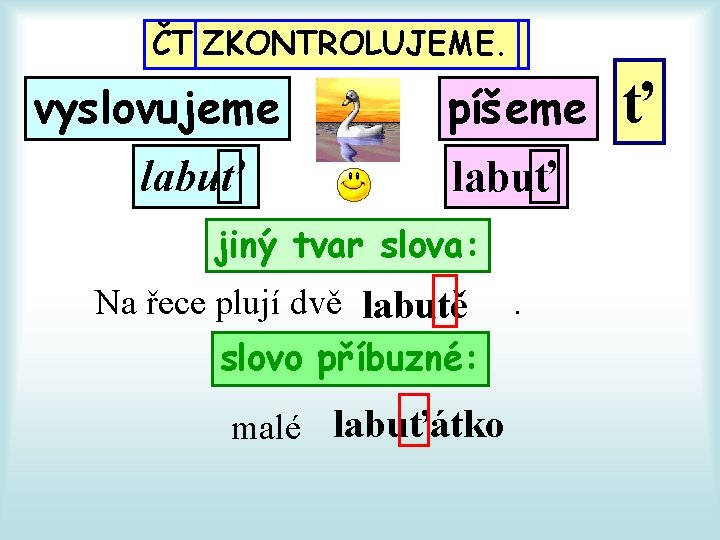 ČTĚTE ZKONTROLUJEME. A POZORUJTE. vyslovujeme labuť píšeme labuť jiný tvar slova: Na řece plují