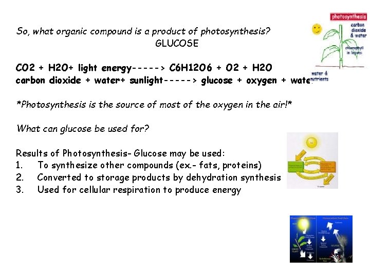 So, what organic compound is a product of photosynthesis? GLUCOSE CO 2 + H