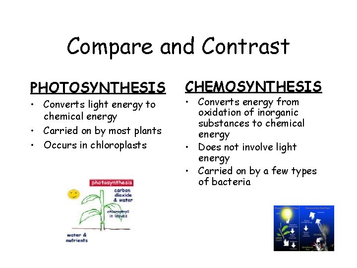 Compare and Contrast PHOTOSYNTHESIS • Converts light energy to chemical energy • Carried on