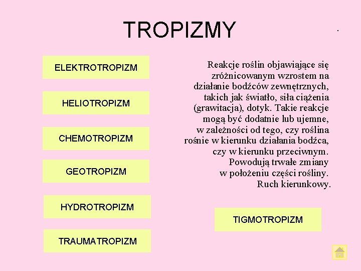 TROPIZMY ELEKTROTROPIZM HELIOTROPIZM CHEMOTROPIZM GEOTROPIZM Reakcje roślin objawiające się zróżnicowanym wzrostem na działanie bodźców