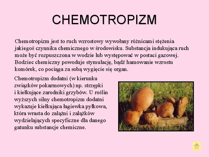 CHEMOTROPIZM Chemotropizm jest to ruch wzrostowy wywołany różnicami stężenia jakiegoś czynnika chemicznego w środowisku.