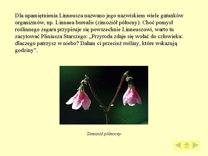 Dla upamiętnienia Linneusza nazwano jego nazwiskiem wiele gatunków organizmów, np. Linnaea borealis (zimoziół półocny).