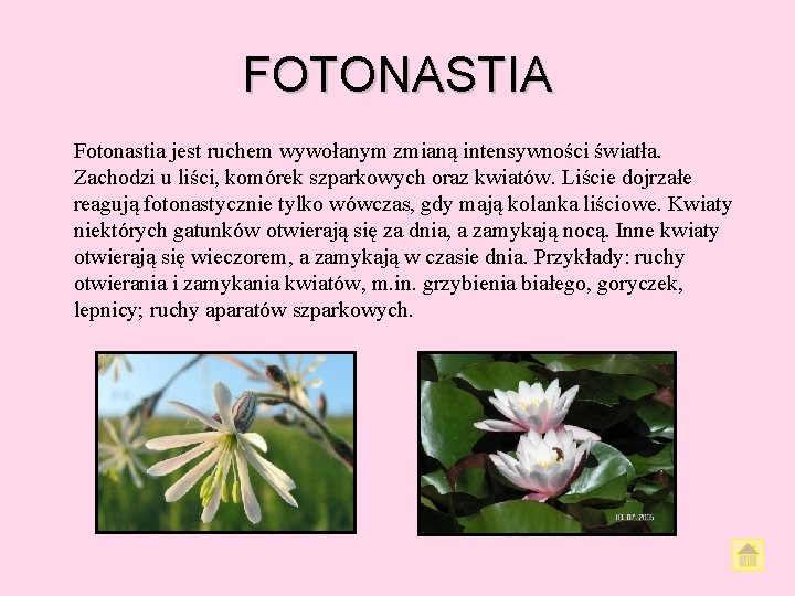 FOTONASTIA Fotonastia jest ruchem wywołanym zmianą intensywności światła. Zachodzi u liści, komórek szparkowych oraz FOTONASTIA Fotonastia jest ruchem wywołanym zmianą intensywności światła. Zachodzi u liści, komórek szparkowych oraz